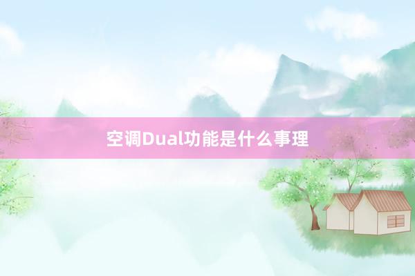 空调Dual功能是什么事理